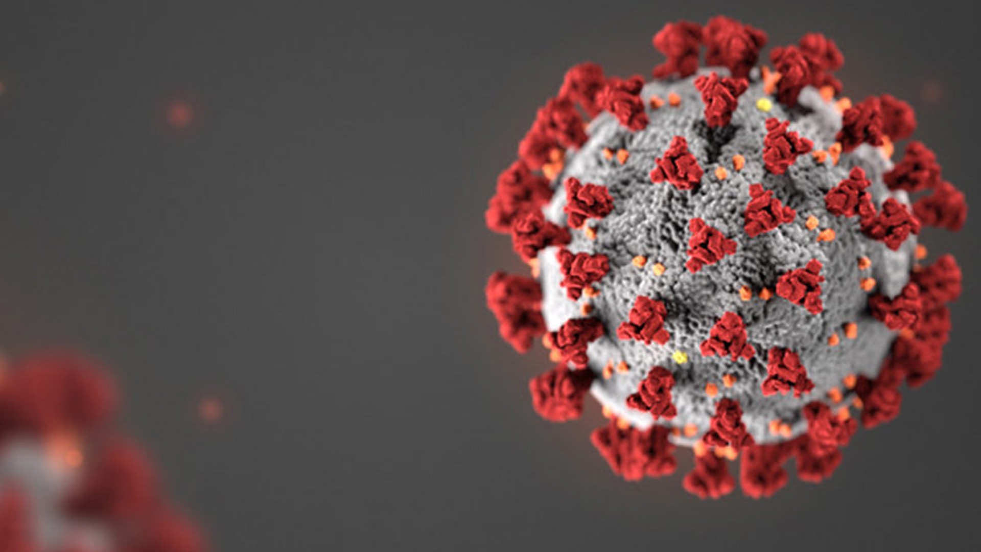 Mammalian Cell Culture to COVID-19 Vaccine Adjuvant in 3 ... Image 1